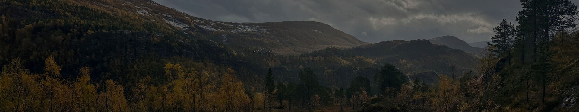 Scenic Mountain View