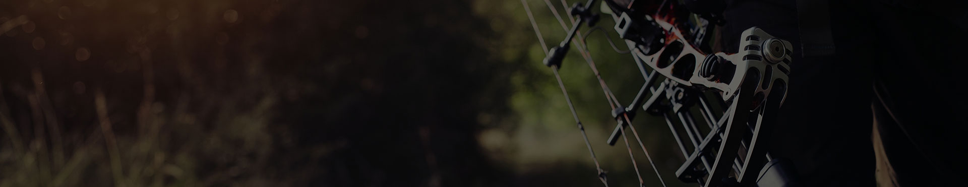 Archery Gear for Outdoor Adventures