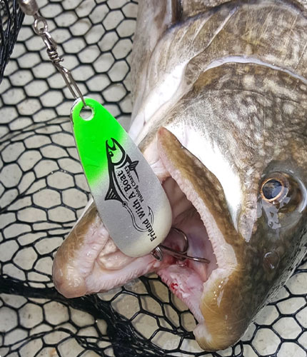 Lures and Bait for Fishing