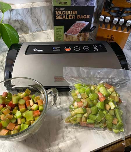 Vacuum Sealer for Food Preservation