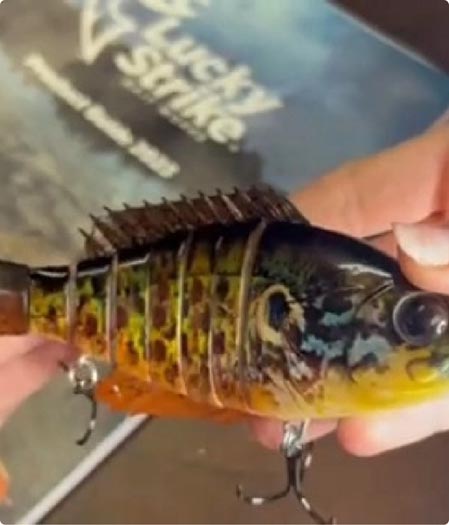 Flies and Poppers Fishing Lures