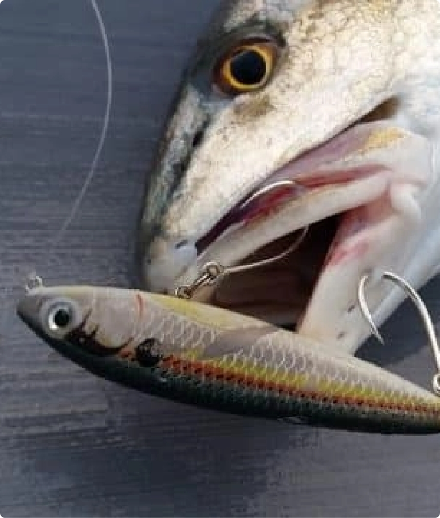 Single Fishing Hooks