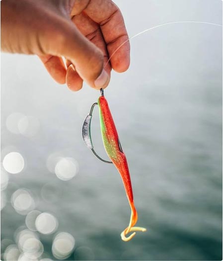 Soft Bait Fishing Lures