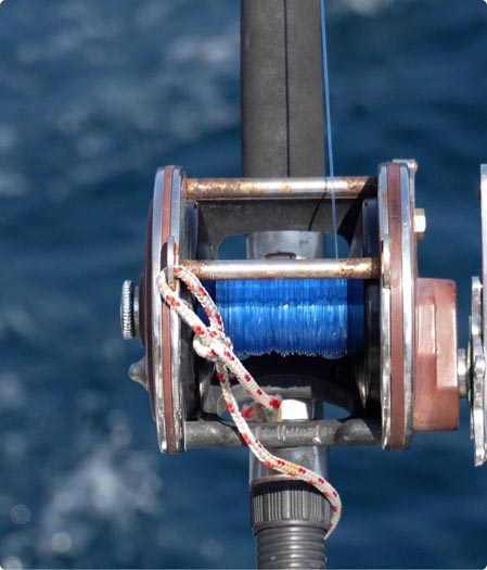 Trolling & Downrigger Fishing Rods and Reels Combo