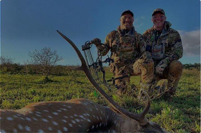 Bow hunted deer