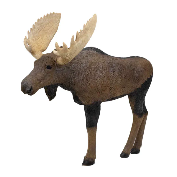 1 3 moose