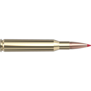 1411001649 1723241143 80536 270 win 145 gr eld x precision hunter 300x300