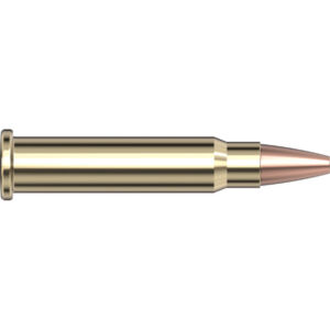 1411003767 1730914553 83172 17 hmr 20 gr xtp varmint express rimfire 300x300