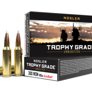 60063 tg 300wsm 180gr ab 2020 ammo highrez 1 1 300x300