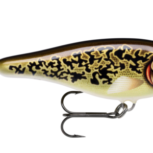 Artistic burbot 300x300