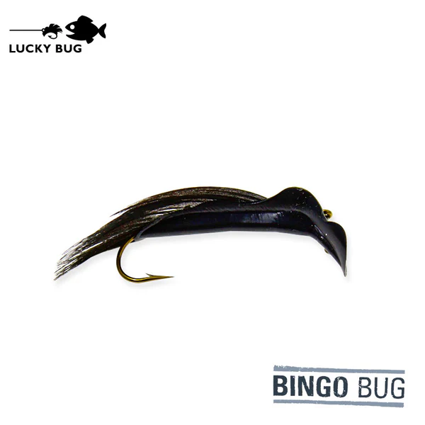 Bingo bug black leech 1 1