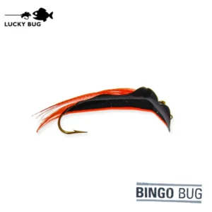 Bingo bug black orange stripe 1 300x300