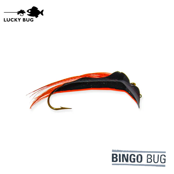 Bingo bug black orange stripe 1