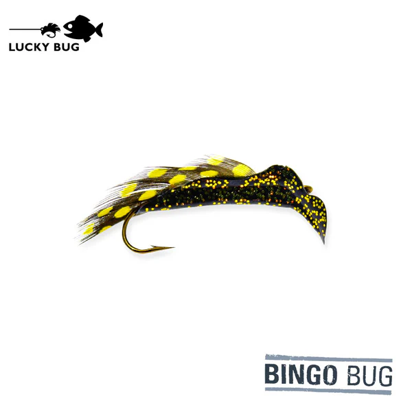 Bingo bug loon laker 1 1