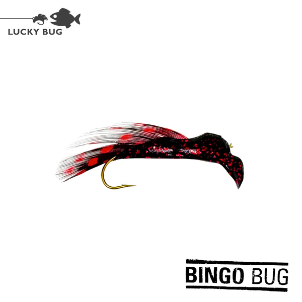 Bingobug blackwidoww guinea