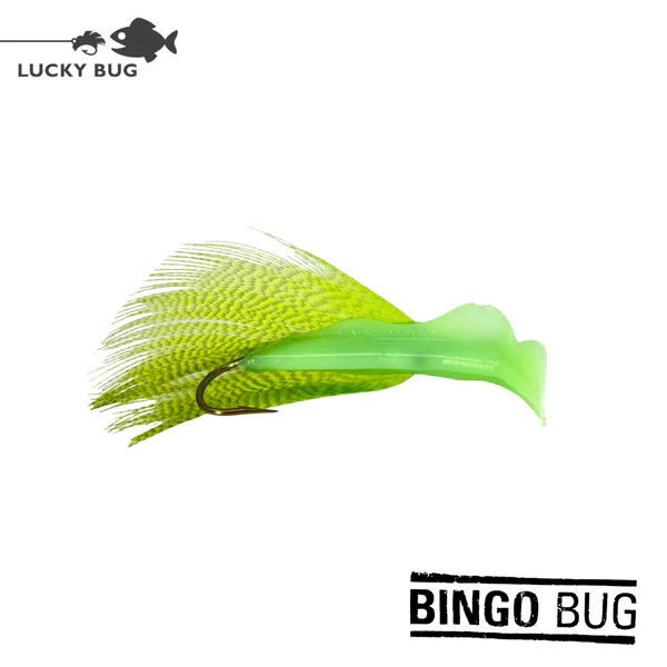 Bingobug chartreuse 1