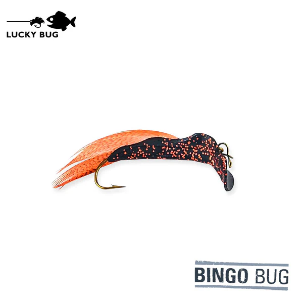 Bingobug orangecrush