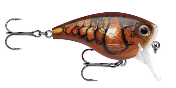 Blaze 600x301