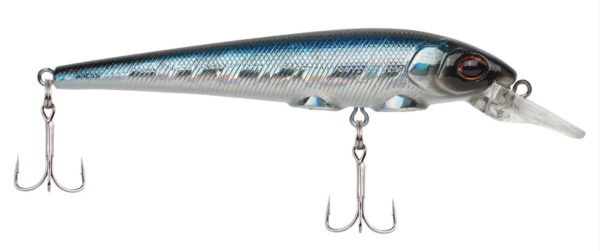 Blue bullet 1 600x251