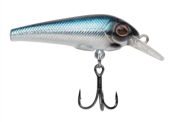 Blue bullet 2 600x406