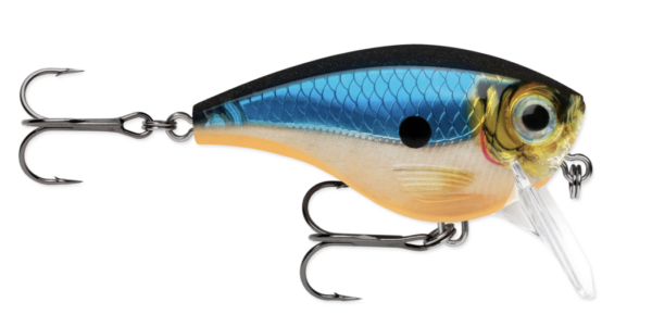 Blue ghost 600x301
