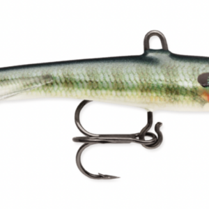 Blue gill bg 4 300x300