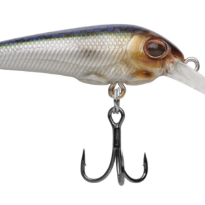Blue smelt 1 300x300