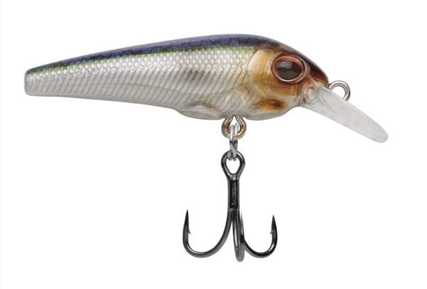 Blue smelt 1 600x406