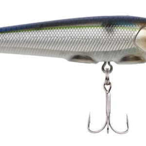 Blue smelt 2 300x300
