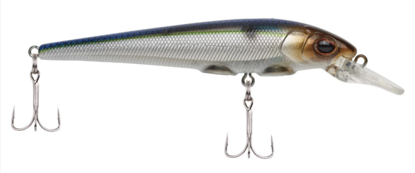 Blue smelt 2 600x251