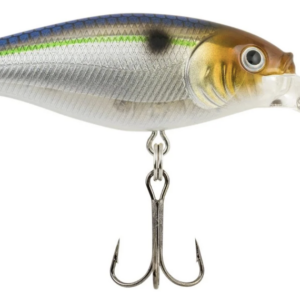Blue smelt 300x300