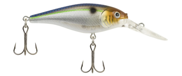 Blue smelt 600x252