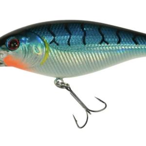 Blue tiger 300x300