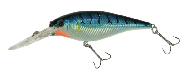 Blue tiger 600x252