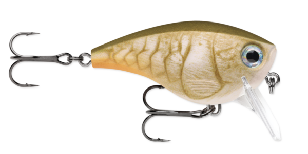 Bone craw 600x301