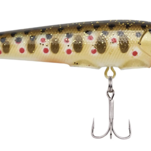 Brown trout 300x300