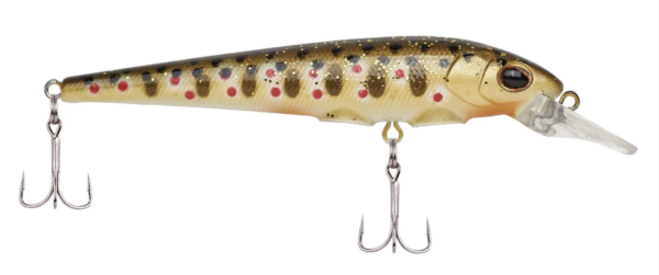 Brown trout 600x251