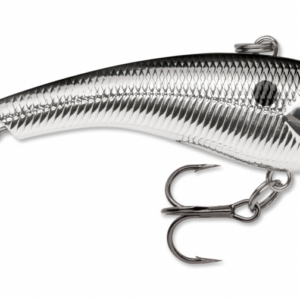 Chrome ch 300x300