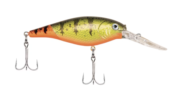 Firetail hot perch 600x323