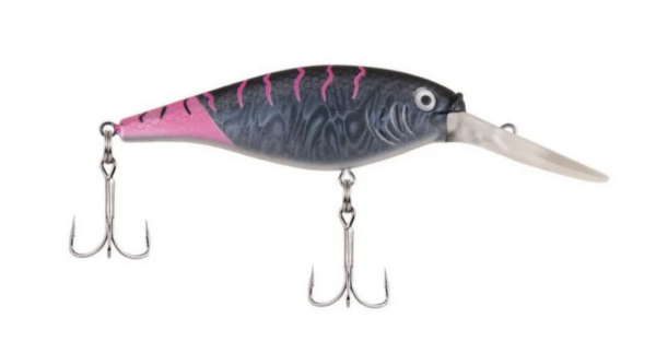 Firetail mf black cougar 600x323