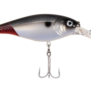 Firetail red tail 300x300