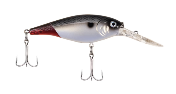 Firetail red tail 600x323