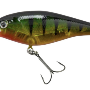 Flashy perch 300x300