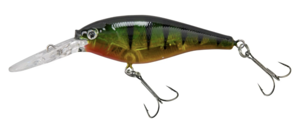 Flashy perch 600x252