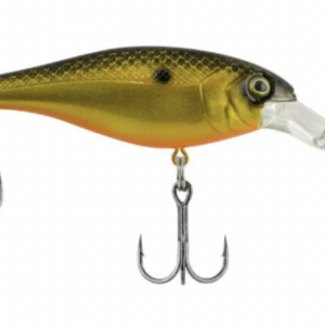 Fool s gold 1 300x300