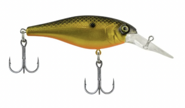Fool s gold 600x352