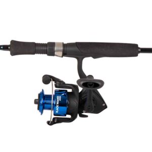G2050 ensemble lancer leger blackwand 2000 moulinet et poignee en eva 300x300