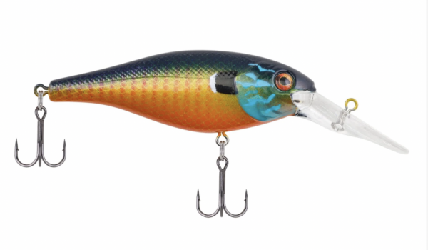 Gilly 600x350