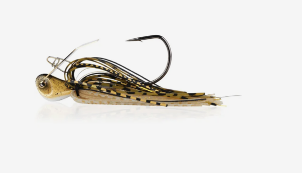 Golden shiner 600x343