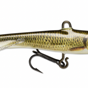 Golden shiner live gsl 300x300
